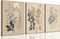 Summer 3 Pcs Vintage Botanical Wall Decor, Nature Floral Plants Wall Decor with Daisies, Dandelion, and Wildflower Posters, Watercolor Rustic Farmhouse Canvas Prints, Boho Neutral Paintings for Living Room, Unframed